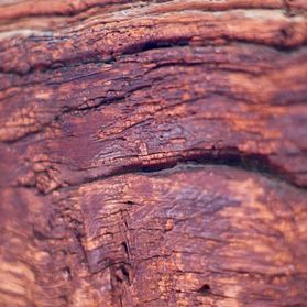 Feature of Reddish Tint Wood